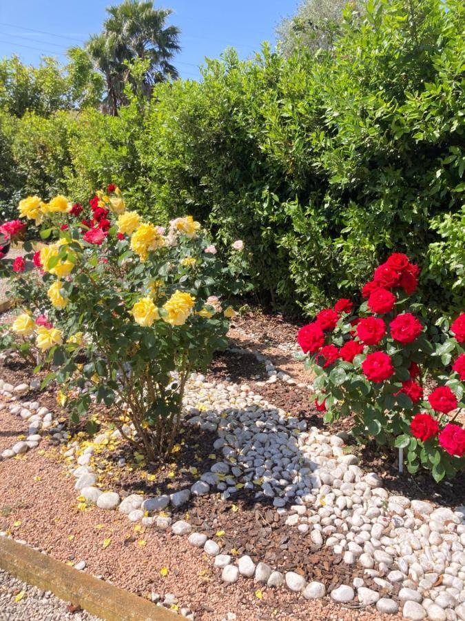 La Rosa Del Lago 브라치아노 외부 사진