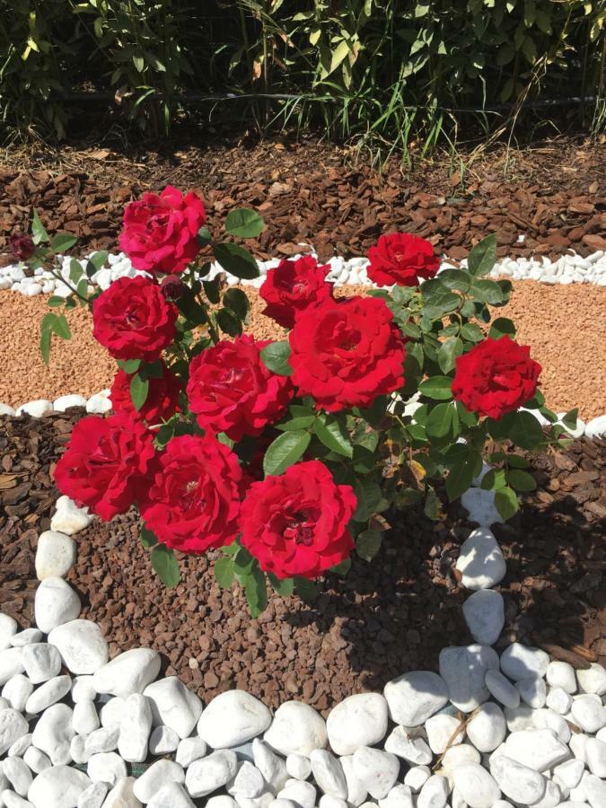La Rosa Del Lago 브라치아노 외부 사진